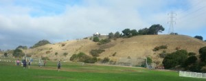 Castro Valley Hillside view